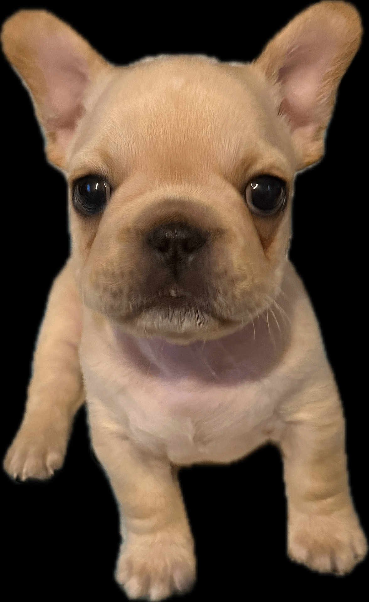 Finley