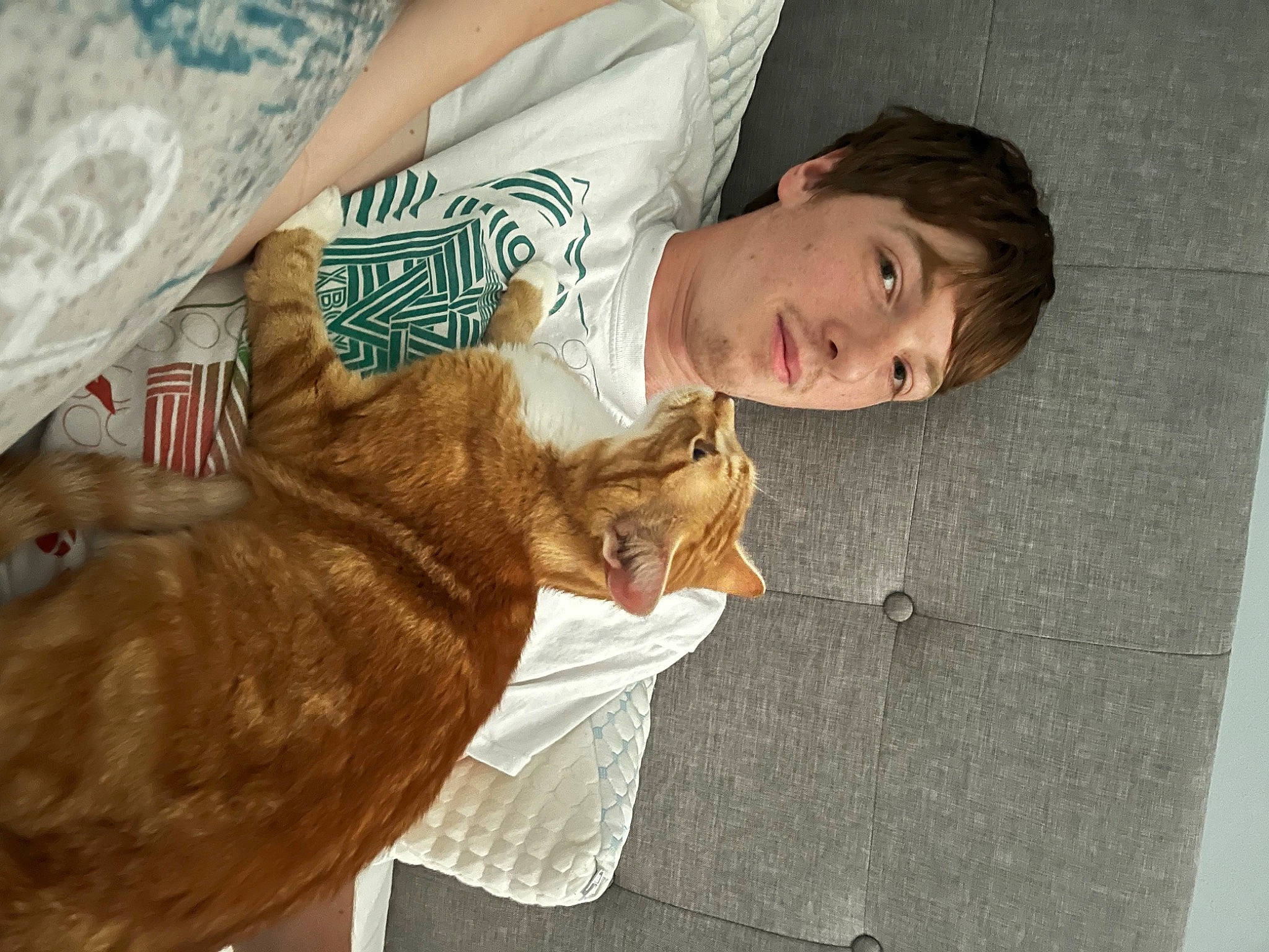 Dandelion is registered to the contest to win money with this photo: carnivore, cat, claw, comfort, companion_dog, dog_breed, domestic_short_haired_cat, fawn, felidae, fish, flooring, fur, happy, nap, skin, small_to_medium_sized_cats, snout, tail, whiskers, wood