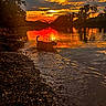 Ellie Mae joined the competition — help win amazing prizes! dog, river, sunset, water, reflection, trees, bridge, silhouette, nature, outdoor, animal, landscape, sky, clouds, evening, playful, wildlife, scenic, sunlight, shadows