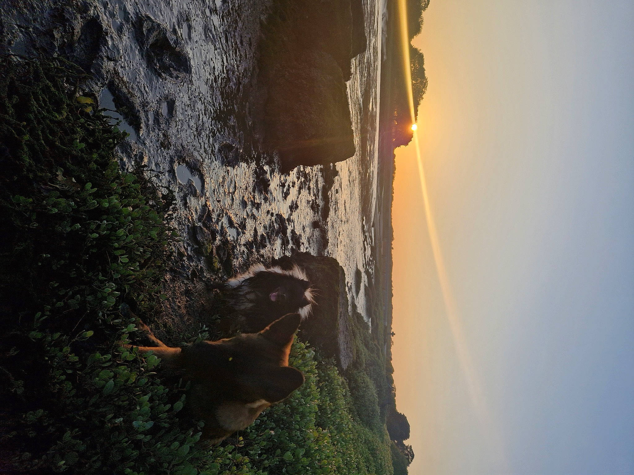 Flash participe au concours pour gagner de l'argent avec cette photo : atmospheric_phenomenon, formation, geological_phenomenon, geology, heat, landscape, leaf, morning, plant, reflection, shadow, sky, sunlight, terrain, tints_and_shades, tree, trunk, vegetation, water, wood