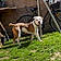 Billy