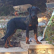 Iva participe au concours pour gagner de l'argent avec cette photo :