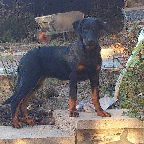 Iva participe au concours pour gagner de l'argent avec cette photo :