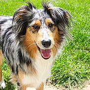 Gaelise participe au concours pour gagner de l'argent avec cette photo :