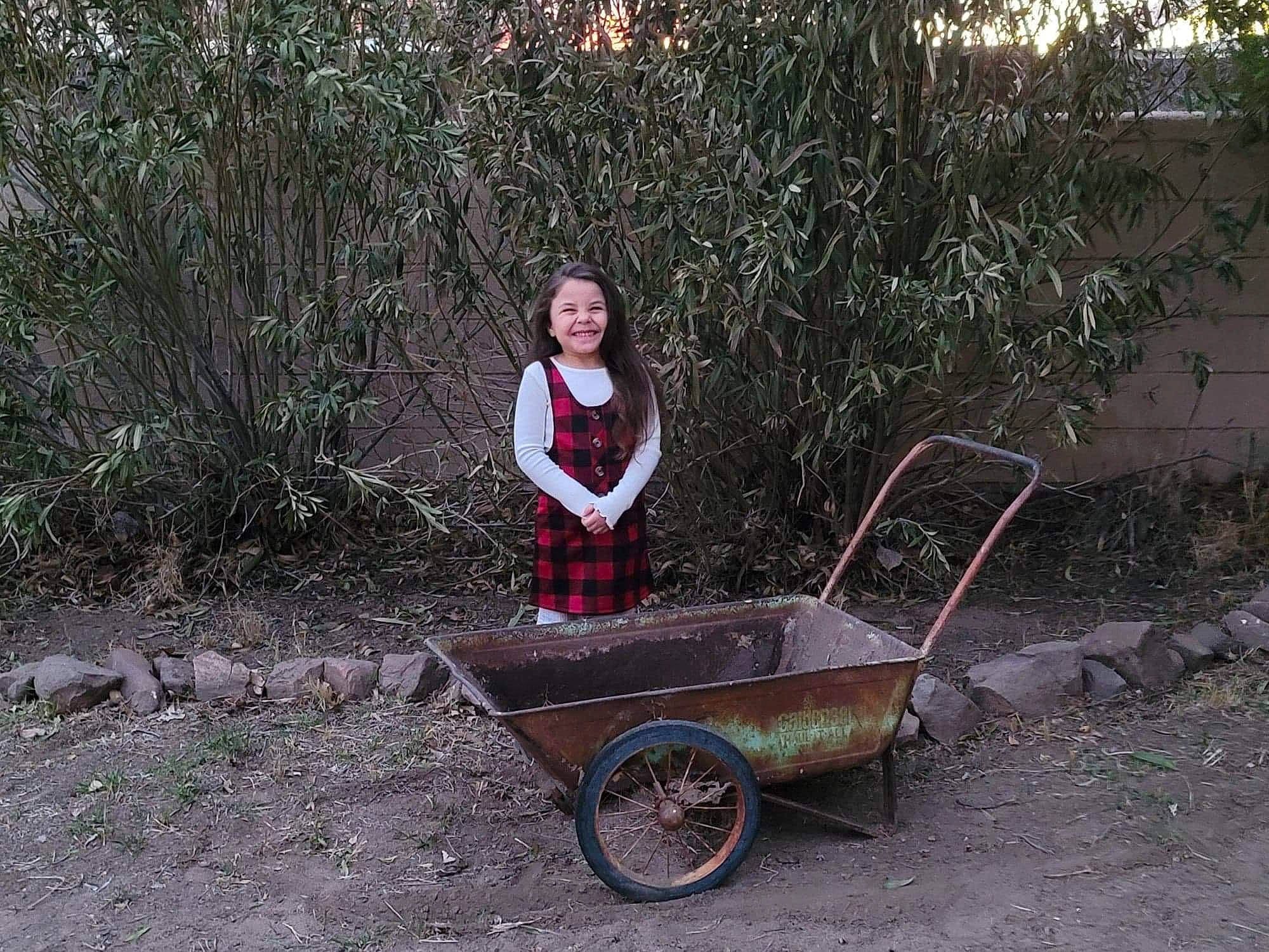 Katleia is registered to the contest to win money with this photo: automotive_wheel_system, cart, garden, garden_tool, grass, joy, landscape, leisure, motor_vehicle, people_in_nature, person, plant, shrub, sitting, smile, soil, tire, tree, vehicle, wheel