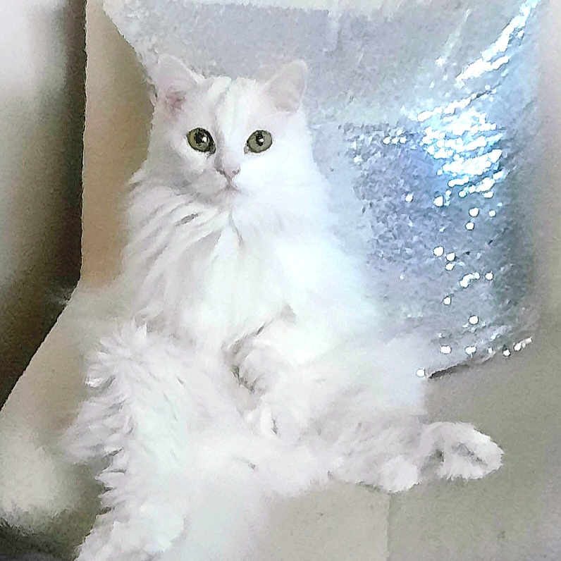 Pillow