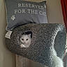 cat, cat_condo, white_cat, pet, indoor, feline, fur, tail, pillow, text, reserved_for_the_cat, cozy, home, animal, cute, looking, peeking, resting, curious, domestic