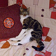 ROXY a rejoint le concours — aidez-le/la à gagner de superbes lots !