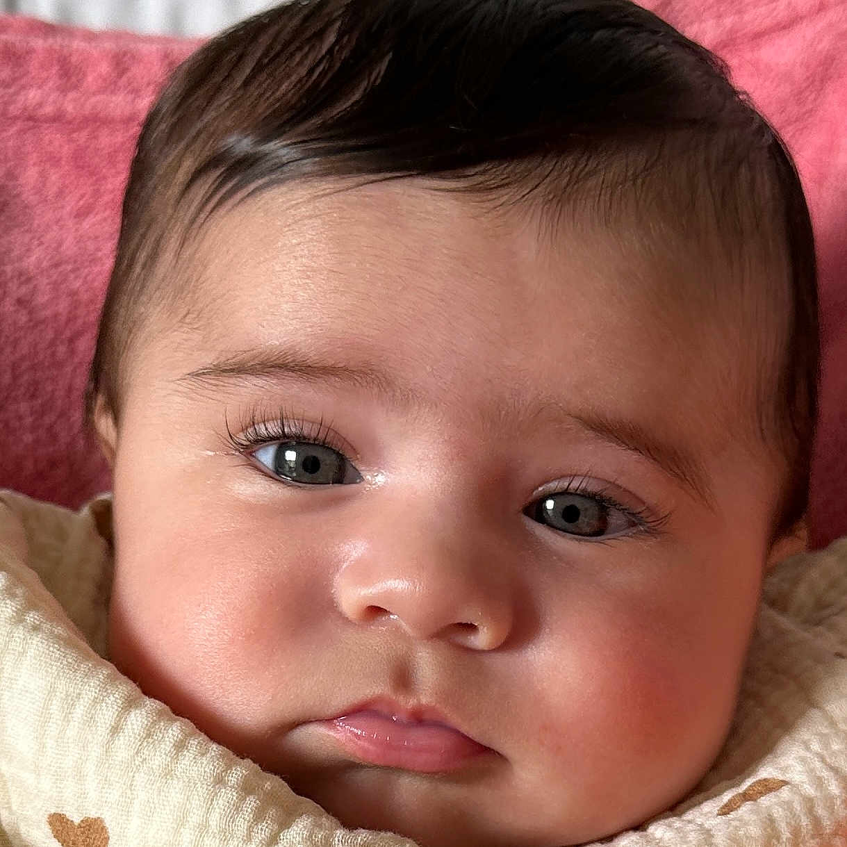 Sofia participe au concours pour gagner de l'argent avec cette photo : baby, blanket, child, close_up, cozy, cute, expression, eyelashes, eyes, face, head, infant, newborn, person, pink_background, portrait, skin, soft, warm, young