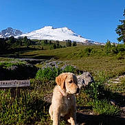 Rainier Lulu Jennings joined the competition — help win amazing prizes!