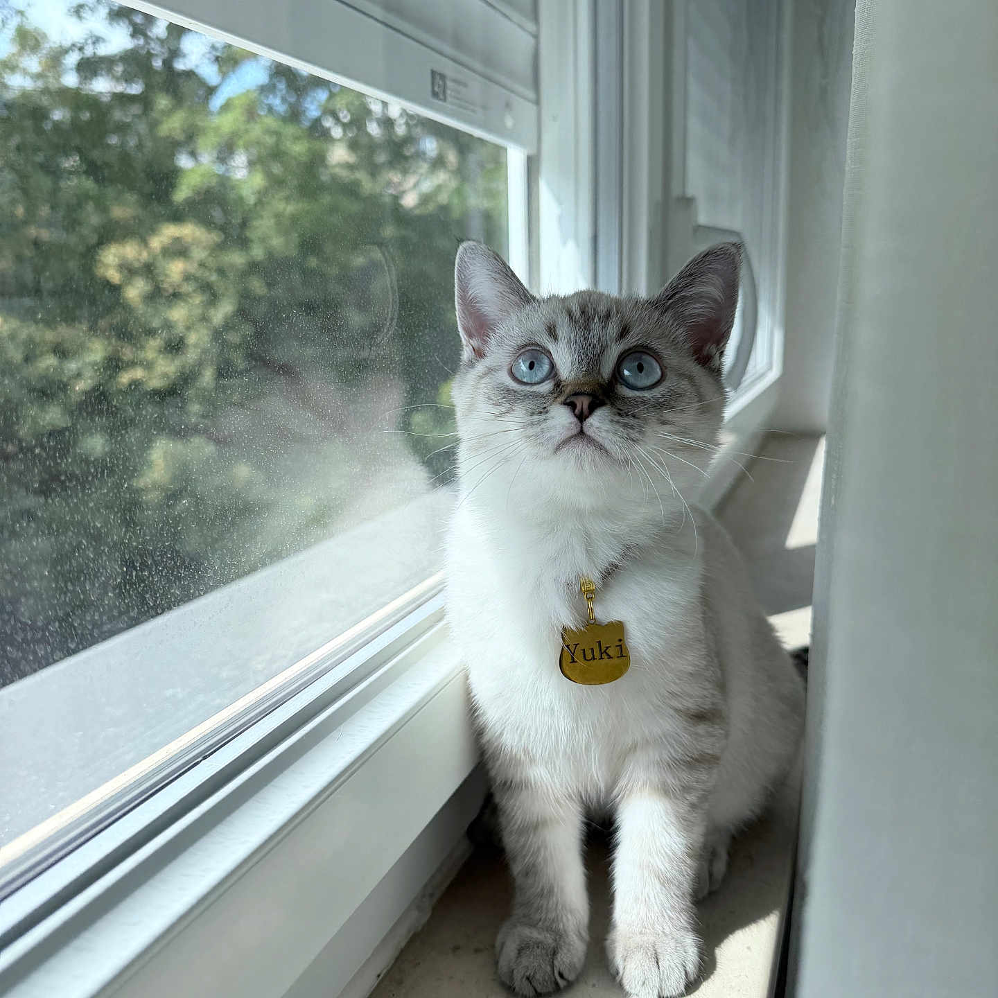 Yuki