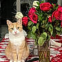 cat, orange_cat, white_cat, roses, red_roses, white_roses, flowers, vase, table, tablecloth, heart_pattern, indoor, pet, feline, plants, green_leaves, still_life, cute, domestic_cat, sitting