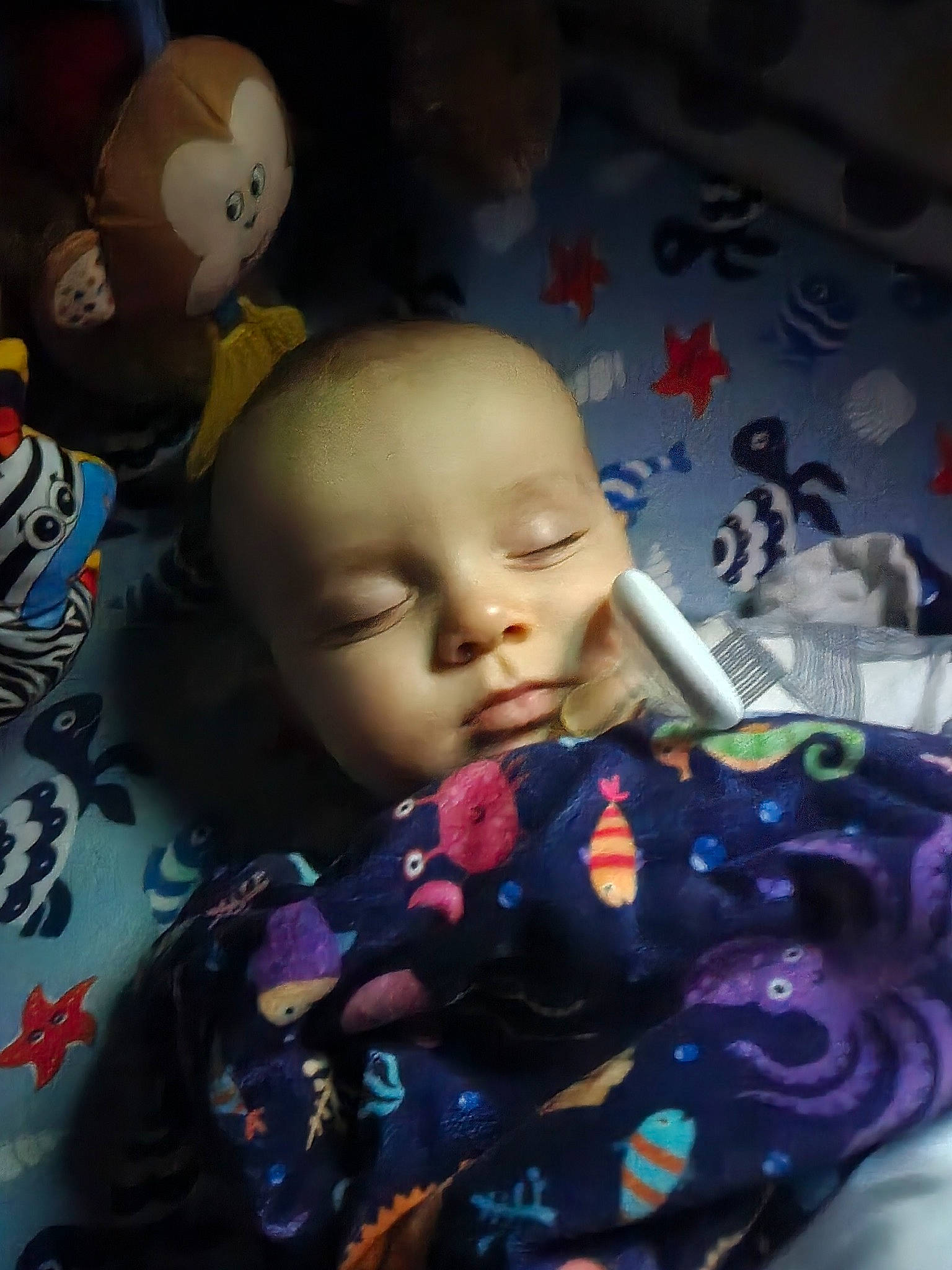 Azrael joined the competition — help win amazing prizes! art, baby, baby_toddler_clothing, baby_toys, carmine, cheek, child, doll, eyelash, fashion_accessory, figurine, hairstyle, iris, lip, pattern, person, plastic, purple, room, stuffed_toy