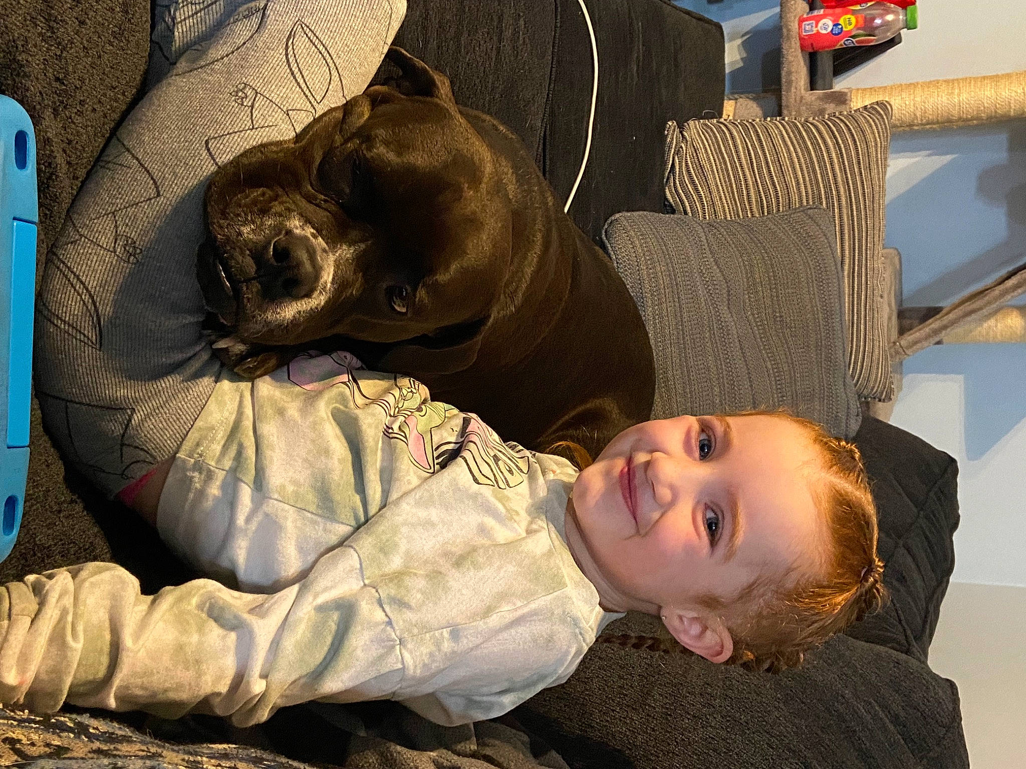 Averie joined the competition — help win amazing prizes! canidae, carnivore, comfort, companion_dog, dog, dog_breed, flash_photography, fun, fur, grass, guard_dog, happy, joy, luxury_vehicle, nap, person, sitting, smile, sporting_group, toddler