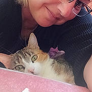 Maya participe au concours pour gagner de l'argent avec cette photo : woman, cat, kitten, portrait, selfie, cuddling, glasses, eyeglasses, blonde_hair, tabby, white_fur, green_eyes, indoors, blanket, pink, close_up, pet, companion, relaxed, adorable