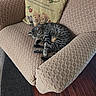 animal, armchair, carpet, cat, cozy, cute, decor, furniture, home, indoor, knitted_pillow, patterned_fabric, peaceful, pet, pillow, relaxation, resting, sleeping, tabby_cat, wooden_floor