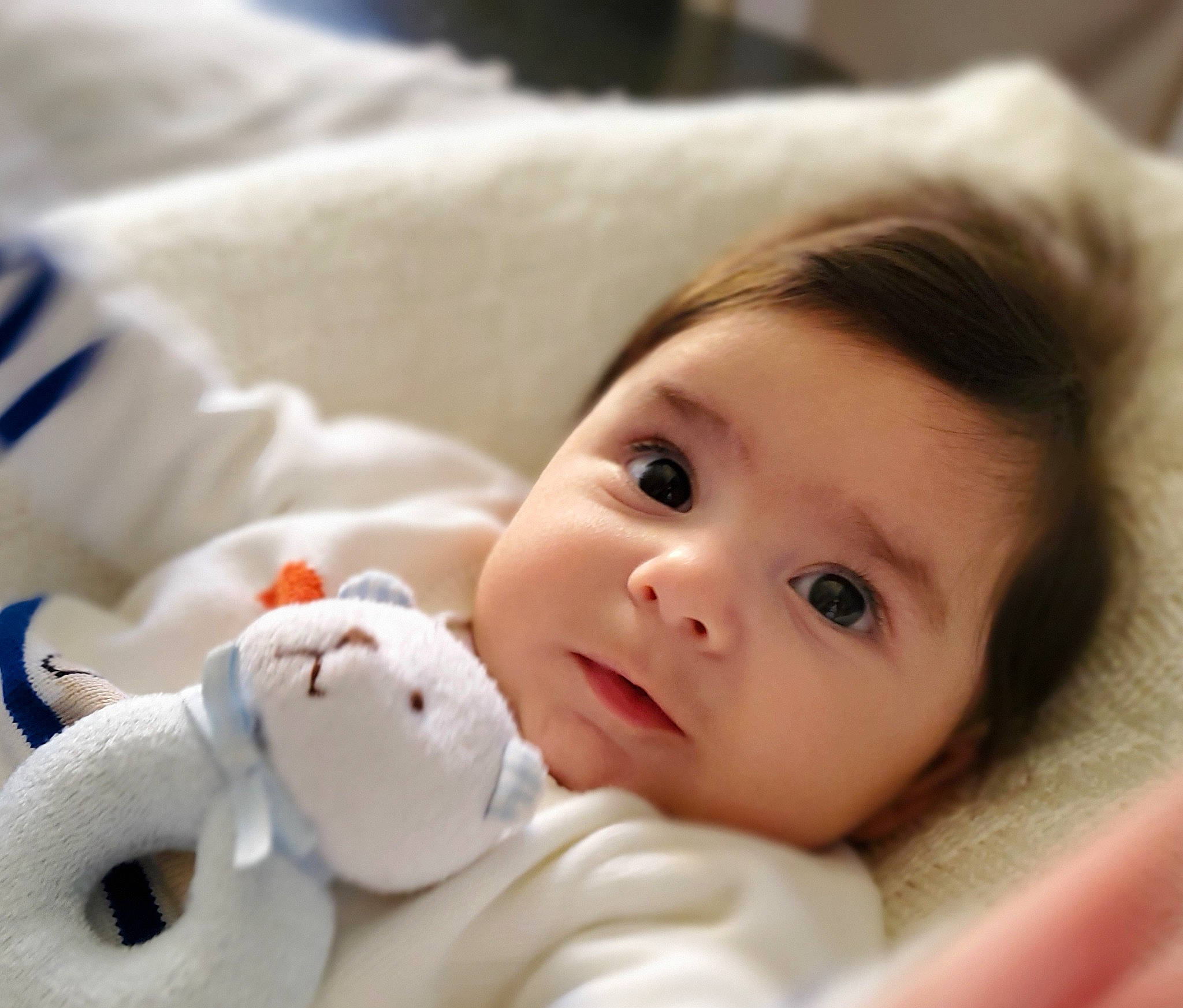 Gregory participe au concours pour gagner de l'argent avec cette photo : baby, cheek, child, comfort, ear, eye, eyelash, facial_expression, finger, hand, happy, head, iris, lip, nose, person, product, skin, textile, toddler