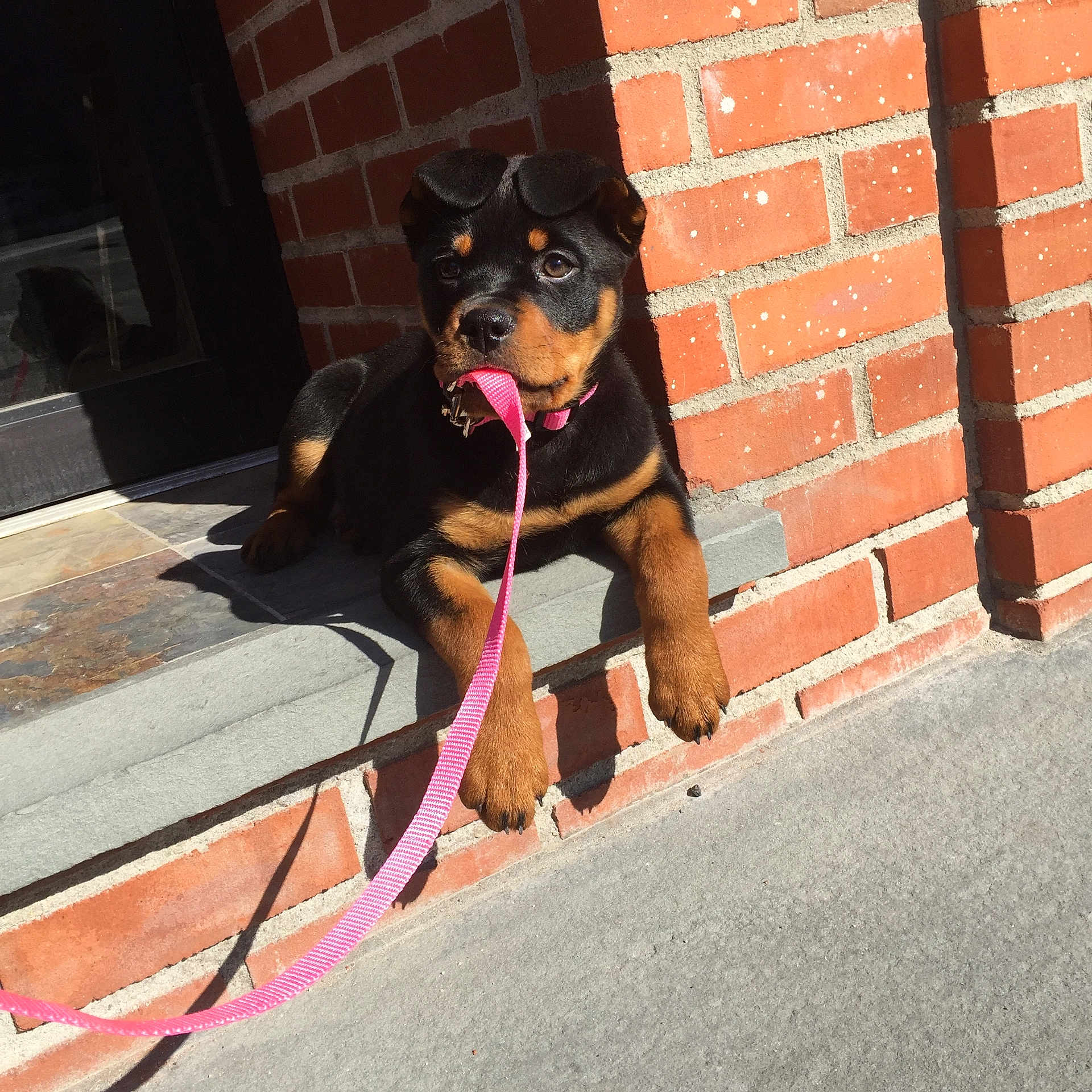 Jada
