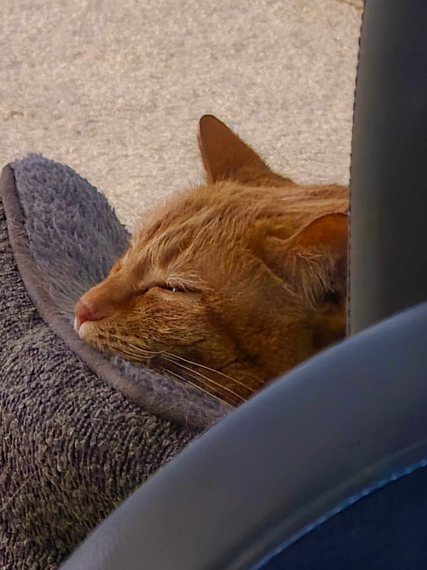 Tigger