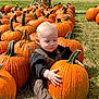 Milo joined the competition — help win amazing prizes! baby, pumpkin, pumpkin_patch, child, outdoor, grass, fall, autumn, orange, harvest, nature, cute, seasonal, daylight, person, sitting, clothing, overalls, curious, playful