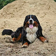 Benji a rejoint le concours — aidez-le/la à gagner de superbes lots !