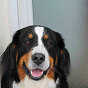 Gina participe au concours pour gagner de l'argent avec cette photo :