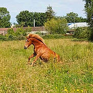 Prenseur a rejoint le concours — aidez-le/la à gagner de superbes lots !