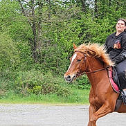 Prenseur a rejoint le concours — aidez-le/la à gagner de superbes lots !