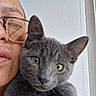Buscalo joined the competition — help win amazing prizes! cat, gray_cat, person, glasses, face, hand, close_up, indoor, portrait, pet, animal, feline, cute, looking_at_camera, holding, reflection, white_wall, domestic_animal, whiskers, ears