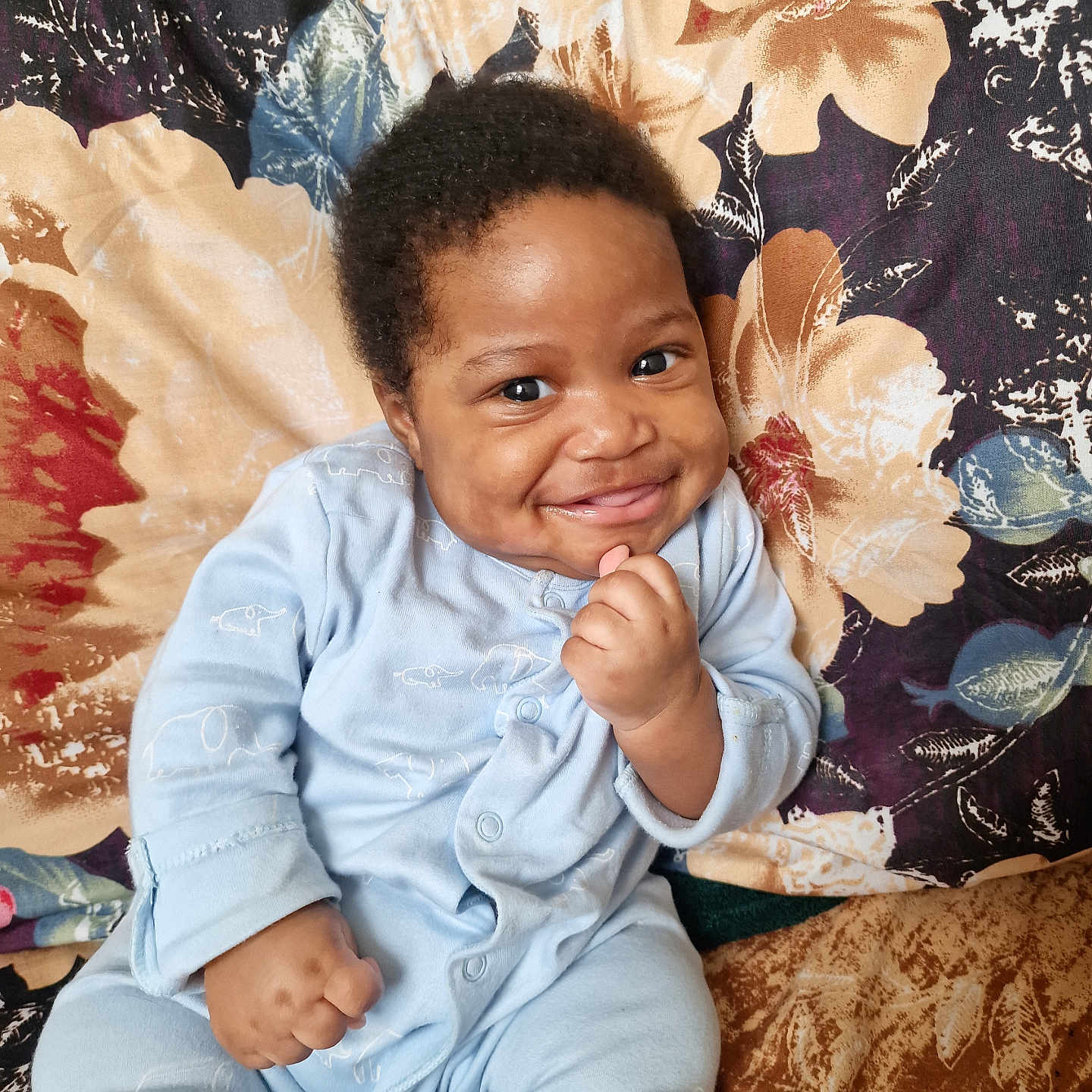 Aku joined the competition — help win amazing prizes! baby, blue_onesie, cheeky, child, cozy, curly_hair, cute, elephant_print, face, floral_blanket, furniture, hand_fist, happy, indoor, infant, playful, portrait, sitting, smiling, young