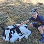 boy, child, calf, animal, grass, outdoor, nature, crouching, cap, blue_clothing, smile, young, petting, farm, field, sunlight, resting, grassland, casual, daytime