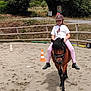 Clara a rejoint le concours — aidez-le/la à gagner de superbes lots ! child, pony, horse, riding, helmet, outdoor, sandy_arena, fence, traffic_cone, grass, trees, sign, clothing, footwear, person, animal, recreation, summer, nature, happy
