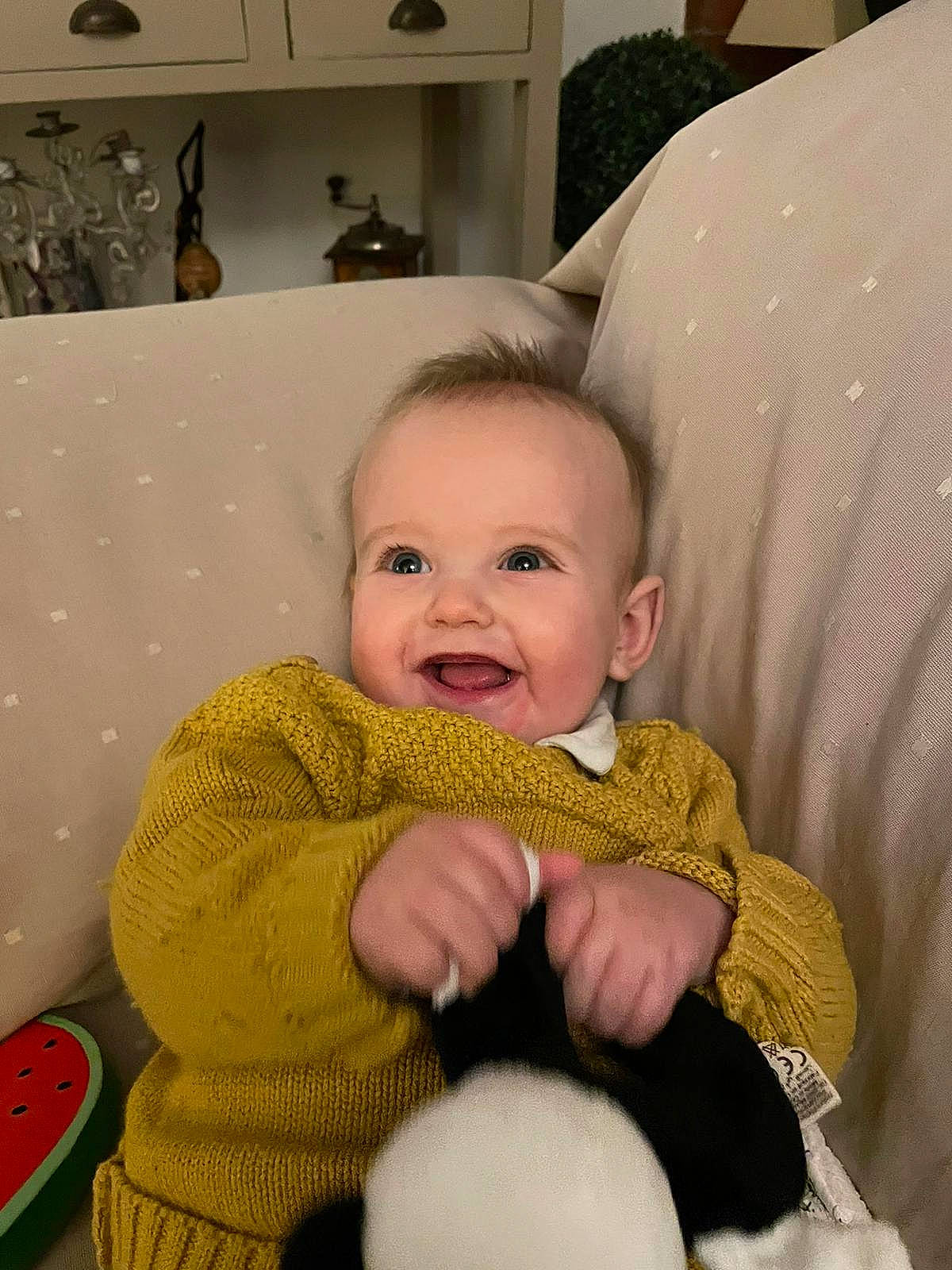 Gaspard a rejoint le concours — aidez-le/la à gagner de superbes lots ! baby, baby_products, baby_safety, baby_toddler_clothing, cheek, child, comfort, flooring, fun, fur, happy, joy, lap, linens, person, room, sitting, skin, smile, textile