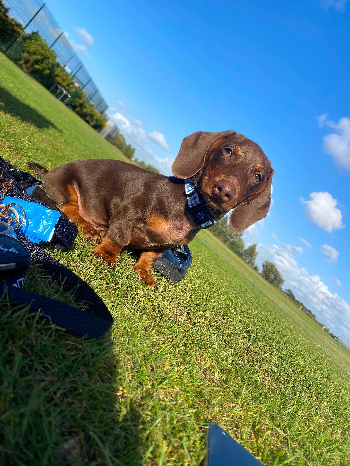 Max