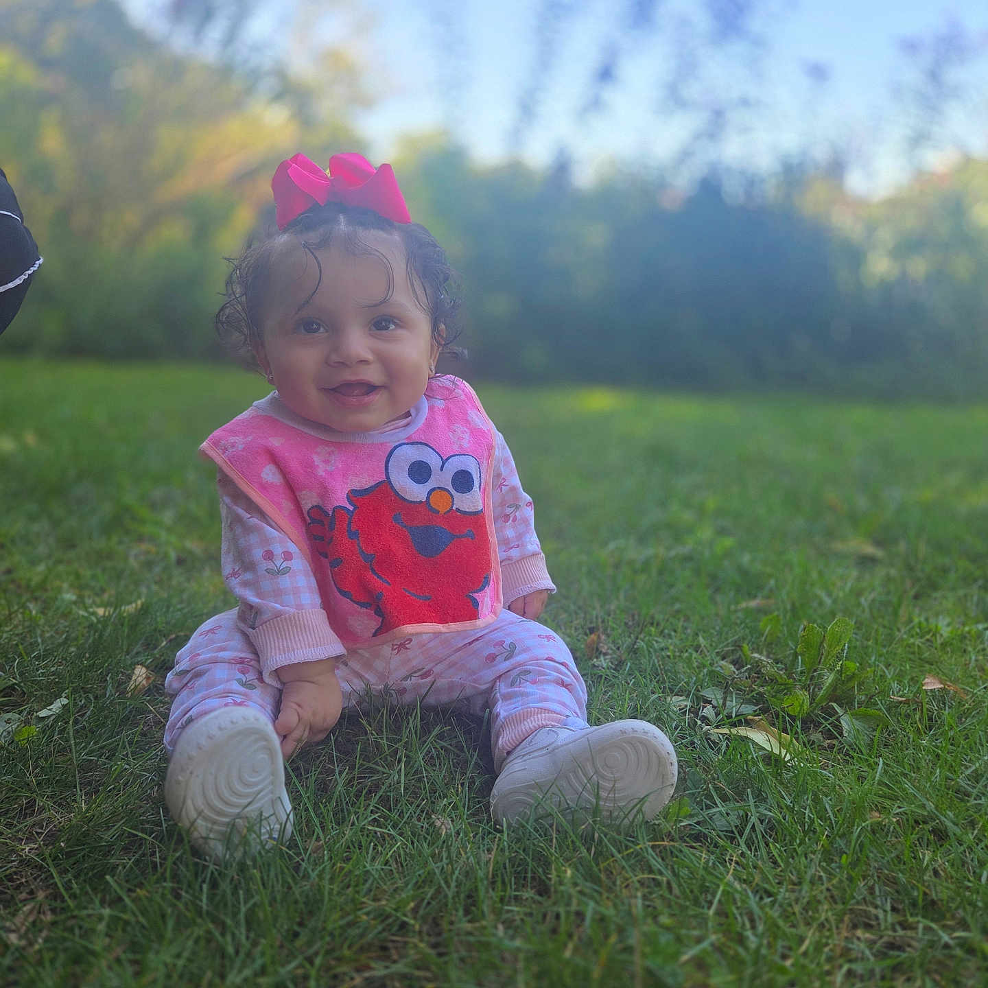 Kallista is registered to the contest to win money with this photo: baby, child, toddler, smiling, outdoors, grass, park, portrait, pink_bow, bow, curly_hair, bib, elmo, red_character, seated, sneakers, playful, nature, blurred_background, sunlight