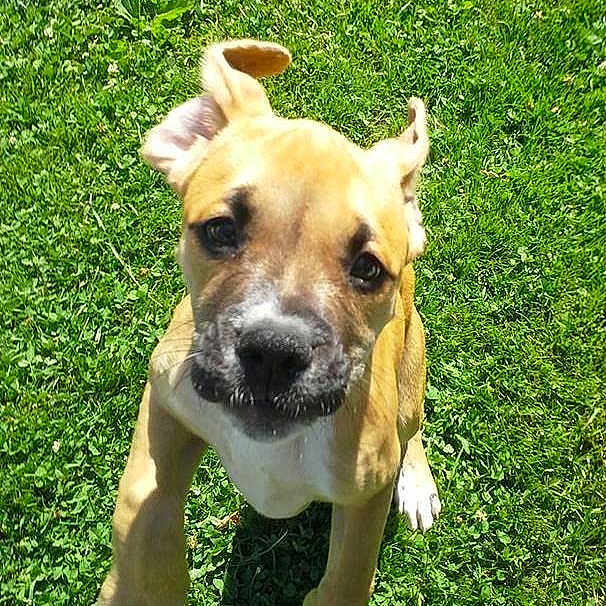 Stella joined the competition — help win amazing prizes!