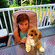 Max is registered to the contest to win money with this photo: backyard, brown_hair, chair, child, cooler, cute, dog, face, girl, glass_table, greenery, long_hair, outdoor, pet, porch, puppy, railing, sitting, summer, trees