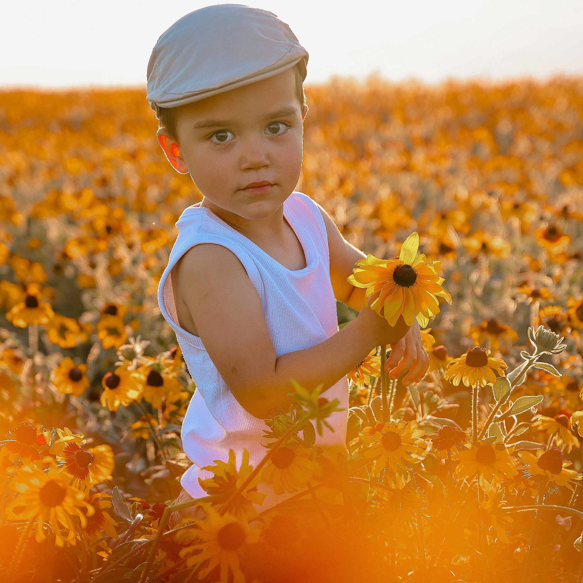 Zak a rejoint le concours — aidez-le/la à gagner de superbes lots ! boy, cap, child, daylight, flora, flower_field, garden, greenery, holding_flower, nature, outdoor, peaceful, plants, portrait, summer, sunlight, sunset_light, white_shirt, yellow_flowers, young_child