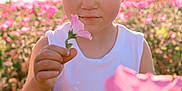 Zak participe au concours pour gagner de l'argent avec cette photo : child, flower, pink_flower, white_tank_top, outdoor, nature, sunlight, lens_flare, garden, greenery, portrait, cute, young_child, summer, bloom, holding, hand, closeup, flora, sunny