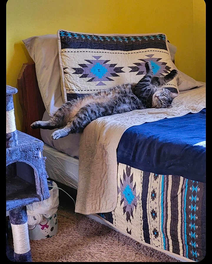 Indigo