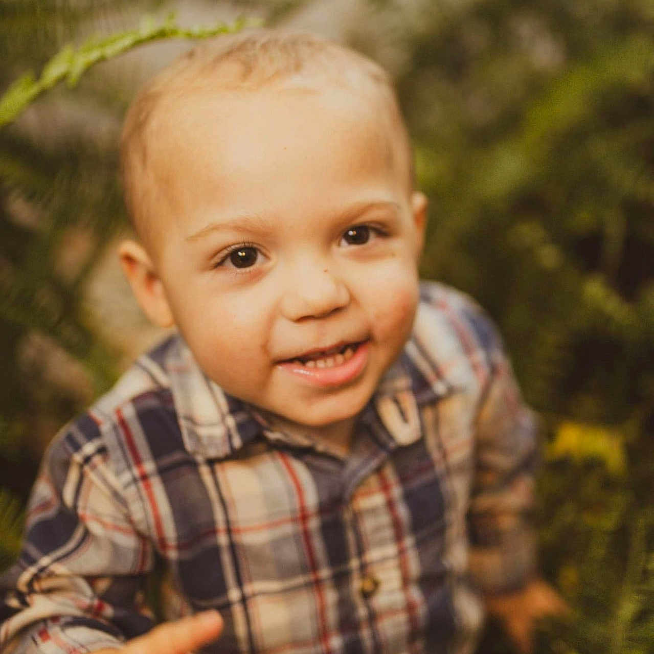 Liam is registered to the contest to win money with this photo: baby, blonde, bodypart, clothing, face, finger, hair, hand, happy, head, laughing, pants, person, photography, plant, portrait, shirt, sitting, smile, tree