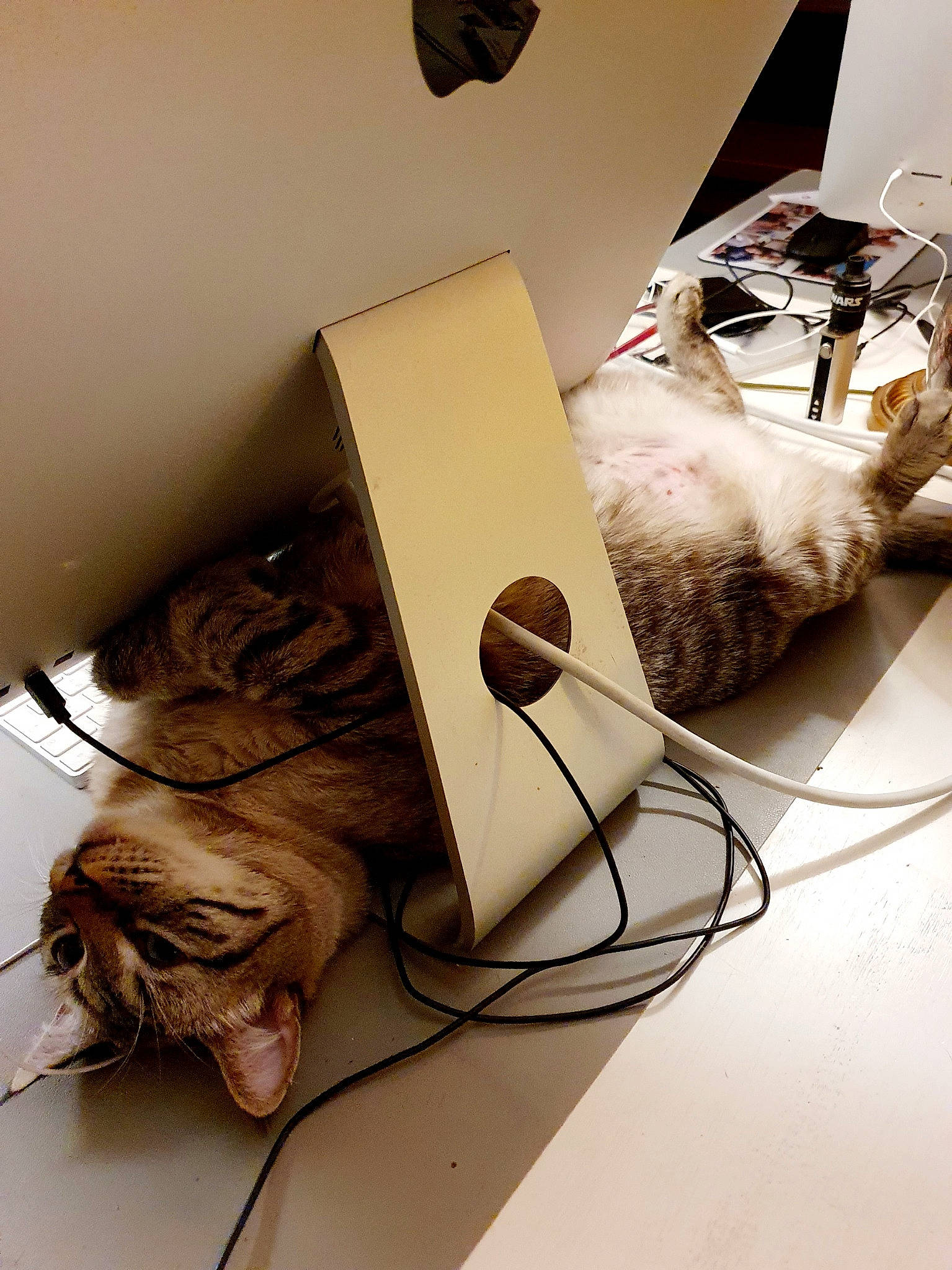 Matoury a rejoint le concours — aidez-le/la à gagner de superbes lots ! adapter, audio_equipment, cable, electrical_supply, electrical_wiring, electricity, electronic_device, gadget, hardwood, lamp, lampshade, light_fixture, lighting, office_supplies, paper, plywood, room, still_life_photography, wire, wood