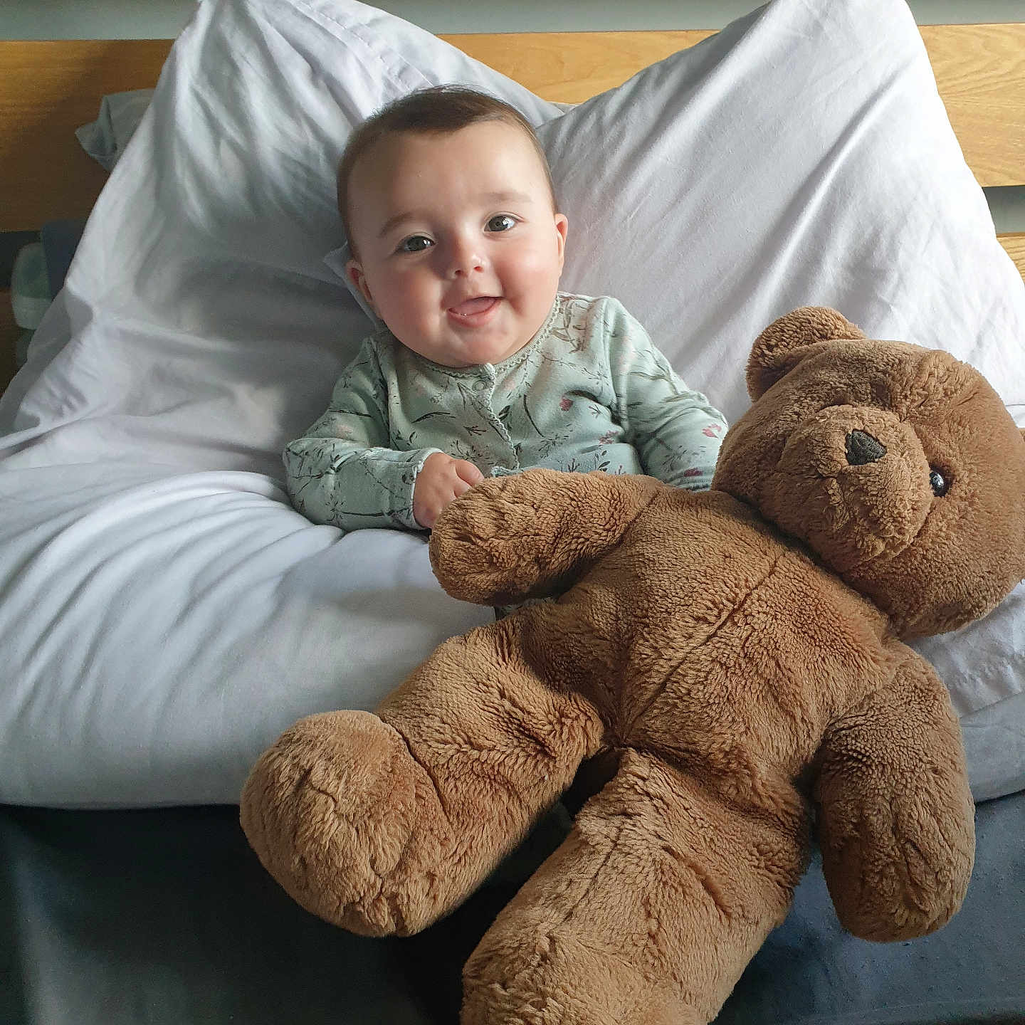 Cillian is registered to the contest to win money with this photo: baby, bed, bedroom, blanket, couch, cushion, face, furniture, happy, head, homedecor, indoors, person, photography, pillow, portrait, room, smile, teddybear, toy