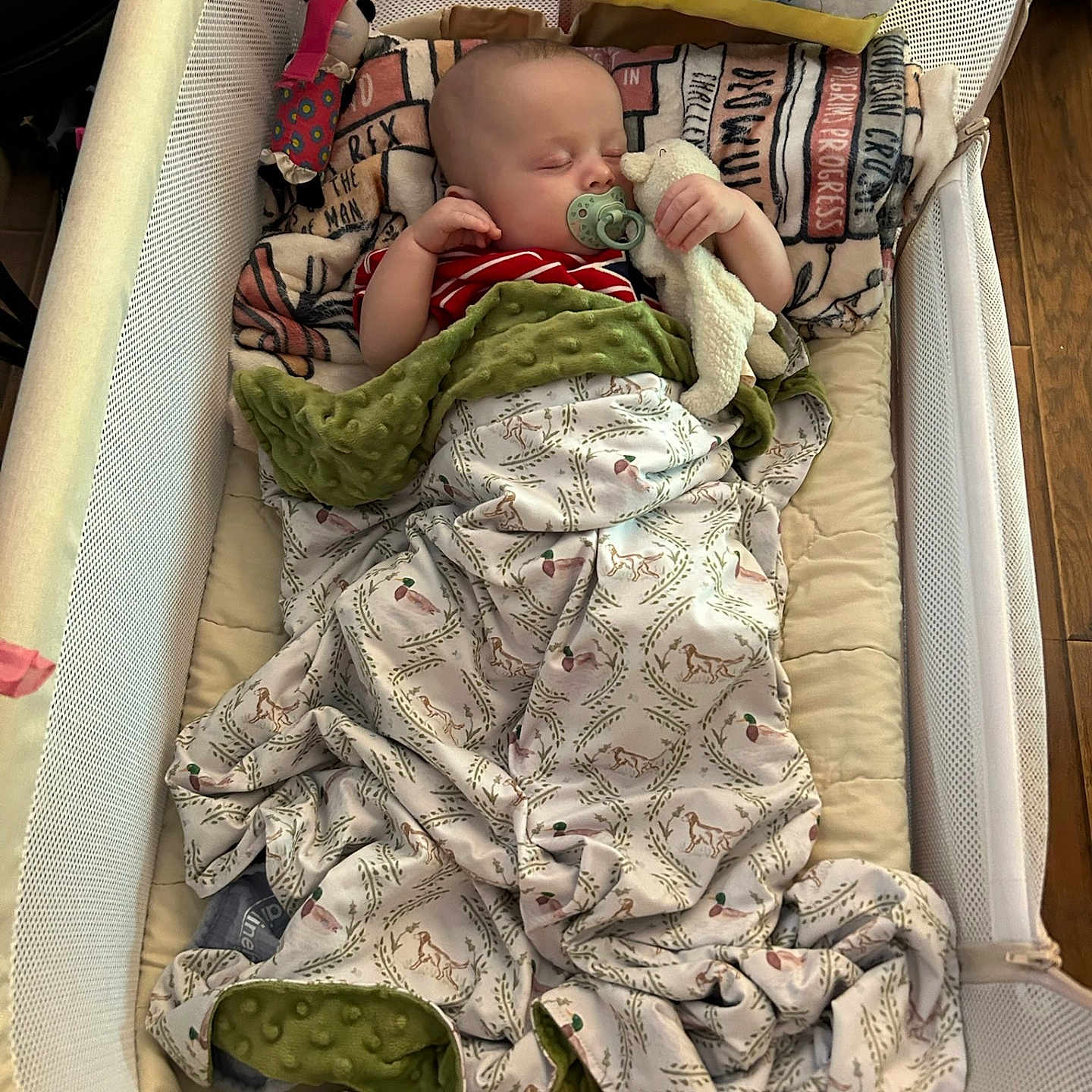 William is registered to the contest to win money with this photo: baby, crib, blanket, pacifier, toy, sleeping, infant, soft_toy, mesh, wooden_floor, child, bed, comfort, cozy, rest, indoor, cute, peaceful, wrapped, sleep