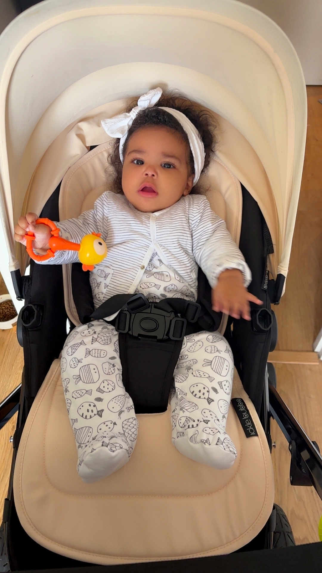 Ghalia participe au concours pour gagner de l'argent avec cette photo : baby, stroller, headband, toy, onesie, fish_pattern, cardigan, indoor, floor, wooden_floor, pet_bowl, curly_hair, infant, child, seatbelt, baby_clothing, black_hair, cute, looking_at_camera, baby_toy