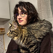 Caillou participe au concours pour gagner de l'argent avec cette photo : brown, cat, cozy, curious, curly_hair, curtains, feline, glasses, indoor, kitchen, person, portrait, shoulder_perch, spice_jars, sweater, tabby_cat, thoughtful, warm_lighting, white_paws, window