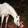 child, horse, white_horse, braided_mane, pink_dress, sitting, dirt_path, nature, forest, bokeh, animal, young_child, outdoor, interaction, cute, calm, tender, portrait, daylight, friendship