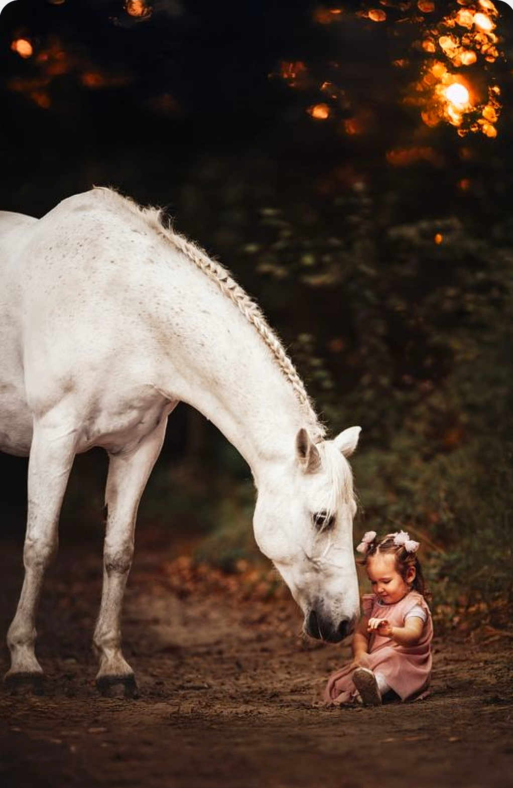 Mélya participe au concours pour gagner de l'argent avec cette photo : child, horse, white_horse, braided_mane, pink_dress, sitting, dirt_path, nature, forest, bokeh, animal, young_child, outdoor, interaction, cute, calm, tender, portrait, daylight, friendship