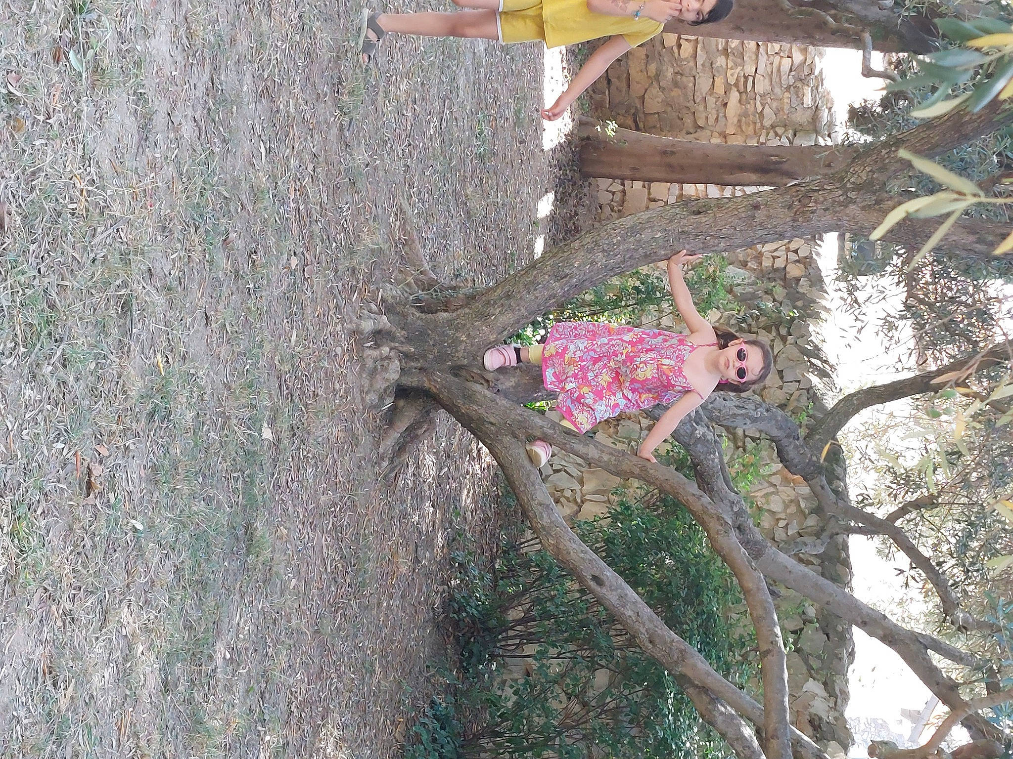 Marie Louise a rejoint le concours — aidez-le/la à gagner de superbes lots ! person, plant, soil, terrestrial_plant, tree, trunk, twig, wood