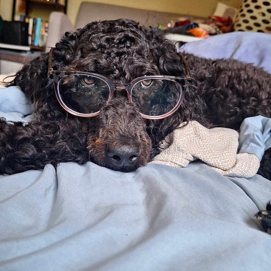 Pepper